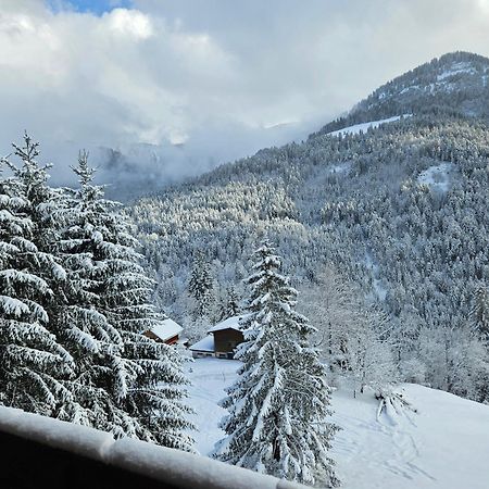 Appartement Melinda Ebnit Dornbirn Zewnętrze zdjęcie