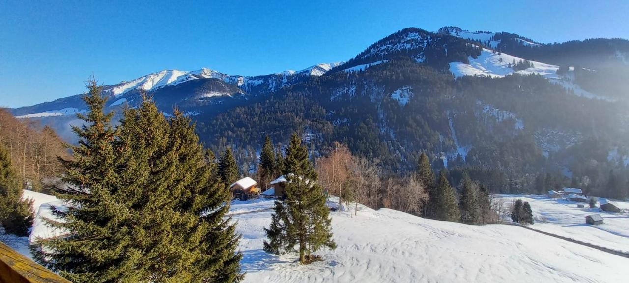 Appartement Melinda Ebnit Dornbirn Zewnętrze zdjęcie