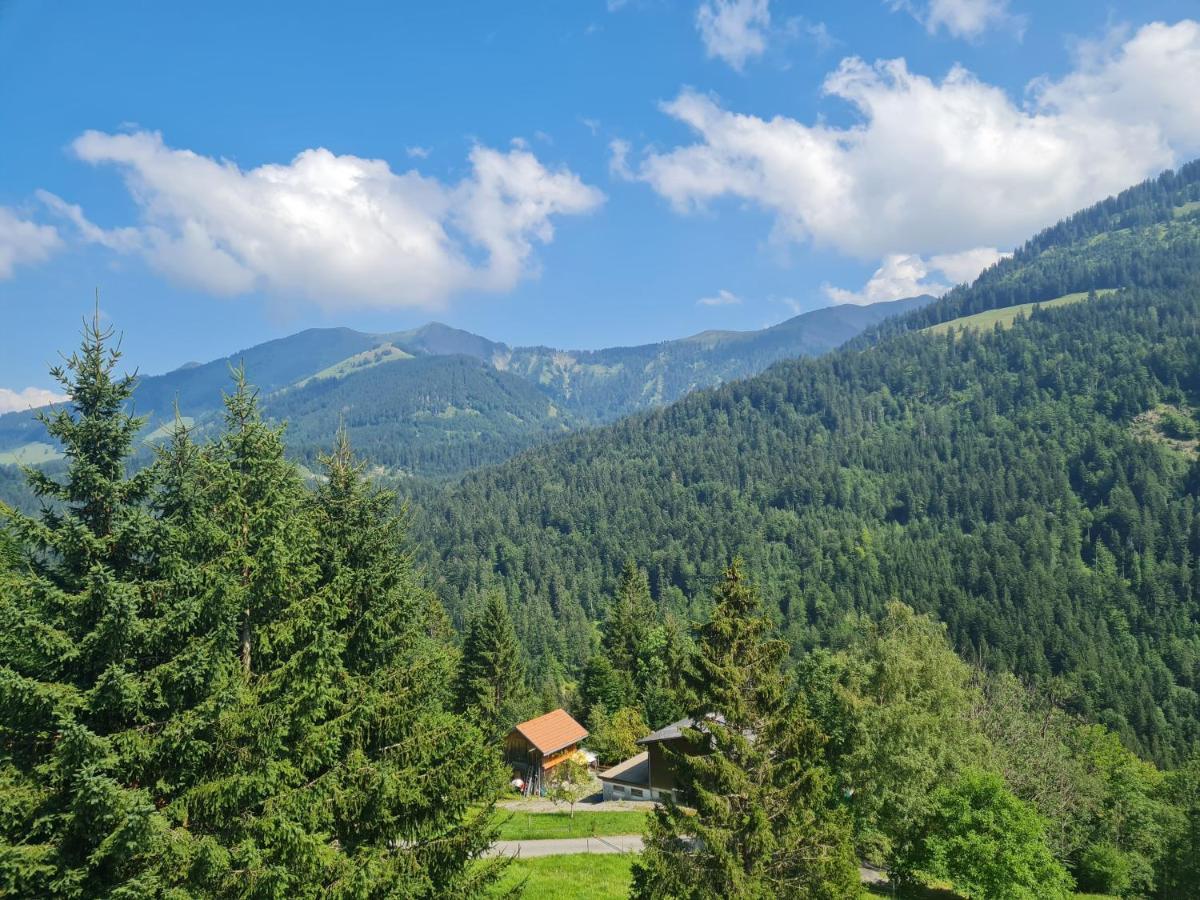 Appartement Melinda Ebnit Dornbirn Zewnętrze zdjęcie