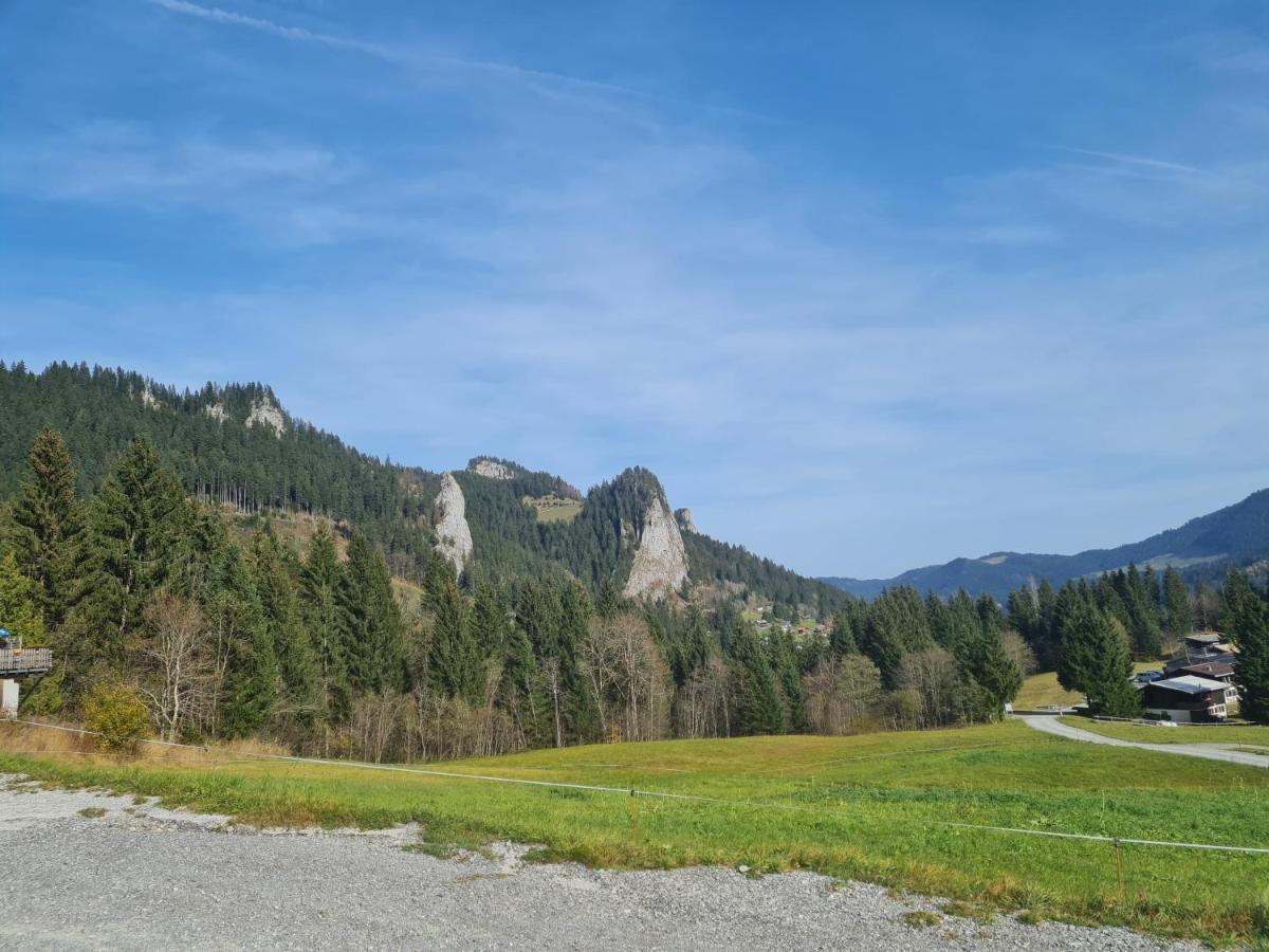 Appartement Melinda Ebnit Dornbirn Zewnętrze zdjęcie